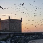 the-best-things-to-do-in-essaouira