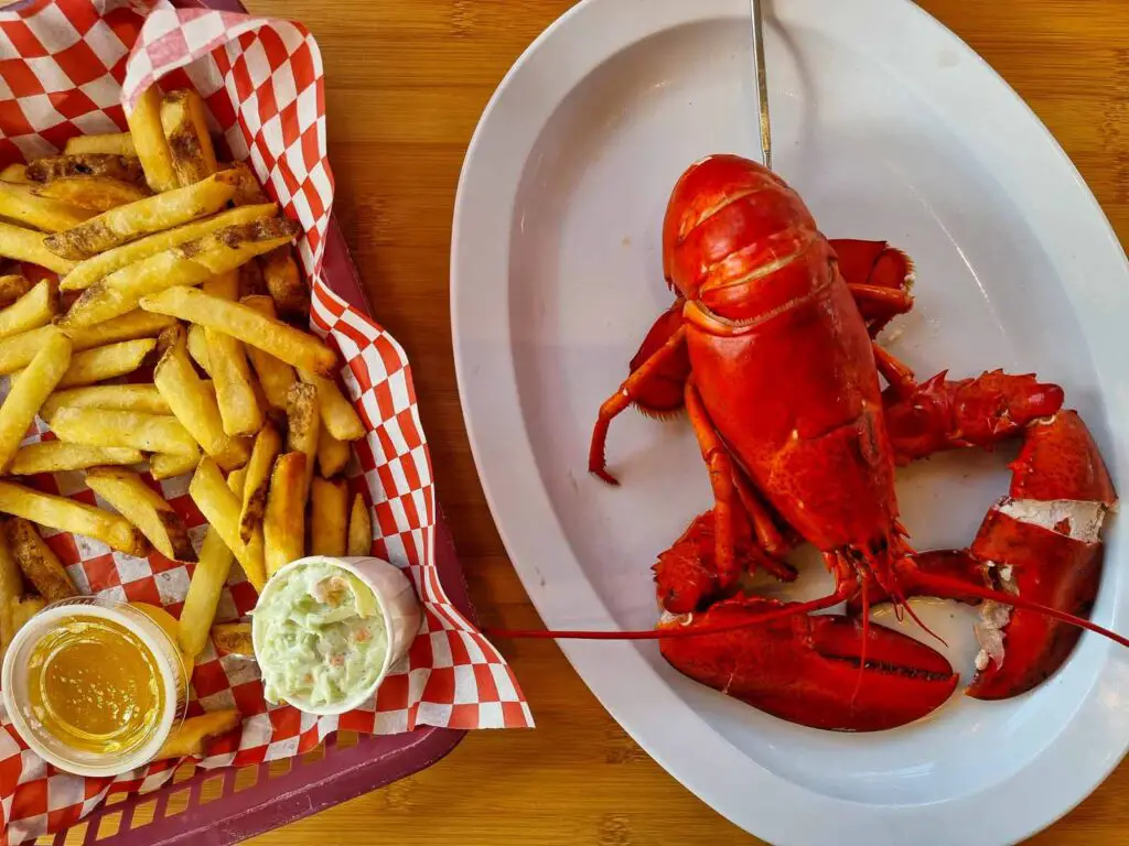An oval plate on the right with an entire red lobster on it. On the left there is a basket with fries, a white paper bowl with coleslaw and a plastic cup filled with melted butter.