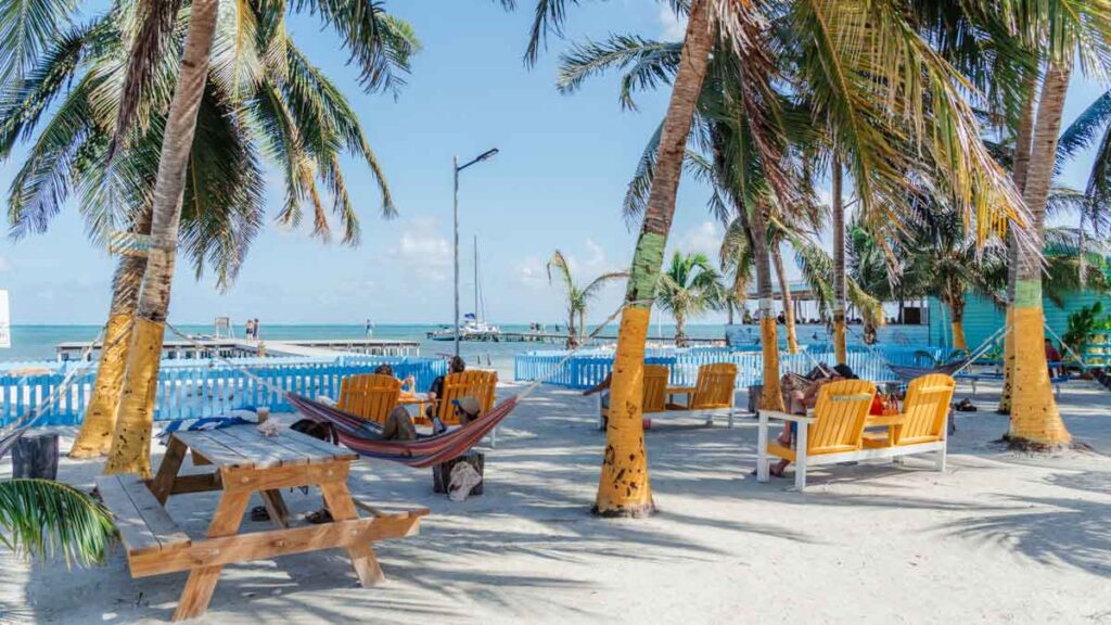 Palm trees on the beach, with hammocks in between them. There are orange chairs on the beach as well. The sky is blue, without any clouds
