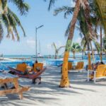 Palm trees on the beach, with hammocks in between them. There are orange chairs on the beach as well. The sky is blue, without any clouds