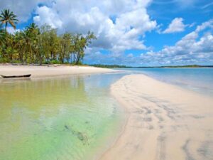 A sand bank with green-ish clear water flowing into the turquoise sea. On the left bank there are palm trees. There are white fluffy clouds on the blue sky.