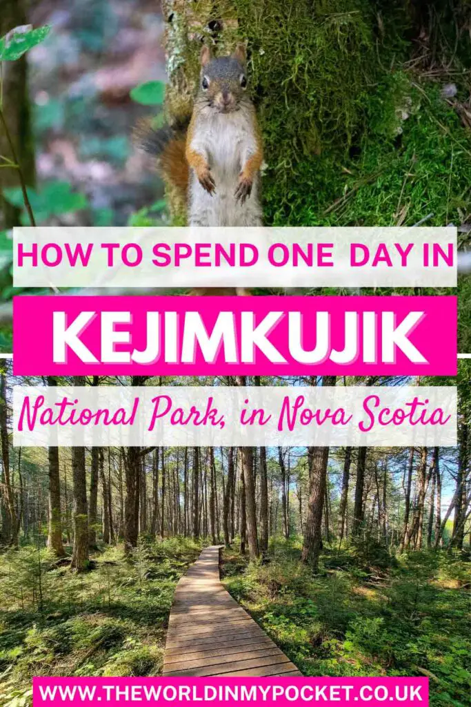 How to Spend A Day in Kejimkujik National Park pin