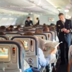 A blurred photo of passengers on the plane.