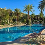 A close-up of a hotel pool surrounded by palm trees. The sky above is blue, without any clouds.