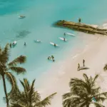 A tropical beach photographed from above, by a drone.There are people in the water, with their surf boards.