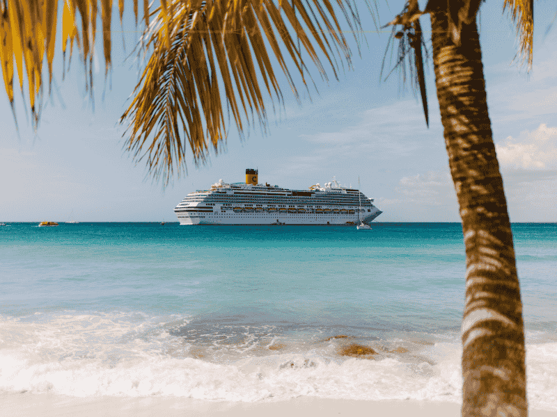 A cruise ship seen from the beach, from under a palm tree.