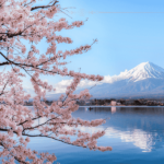 The Forecast For Japan's Cherry Blossom Season in 2025 Is In Cherry blossoms against mount Fuji on a clear sunny day