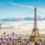 The Eiffel tower on the right hand side of the photo and pink magnolias on the left.