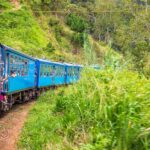 A blue train passing through a green area, with people leaning from the doors.