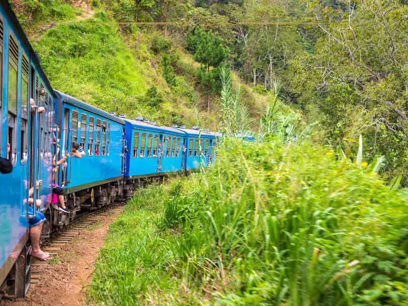 A blue train passing through a green area, with people leaning from the doors.