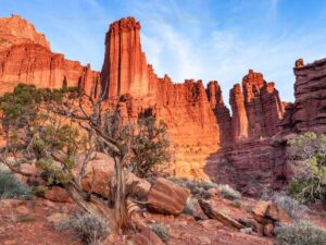 Red rocks rising from a canyon towards the blue sky.