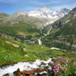 A beautiful valley in between mountains, with a river passing through with a high volume. The valley is green and there are pink flowers on the shores of the river.