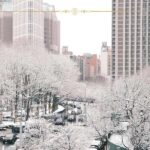 Nearly 4,000 Flights Disrupted as Heavy Snow Blankets New York Central park covered in snow