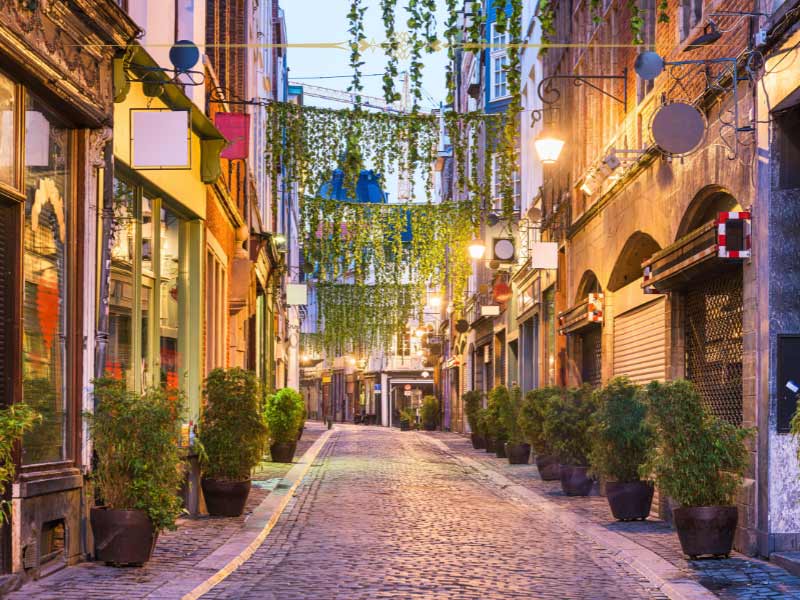 A pretty alley lit with fairy lights, with plants hanging from above.