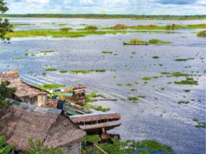 A slice of the Amazon river, with small wooden houses built on the shores, and greenery throughout the water